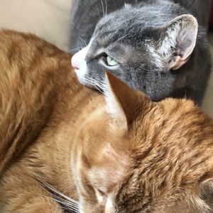 Meet your Posher, Kayleigh